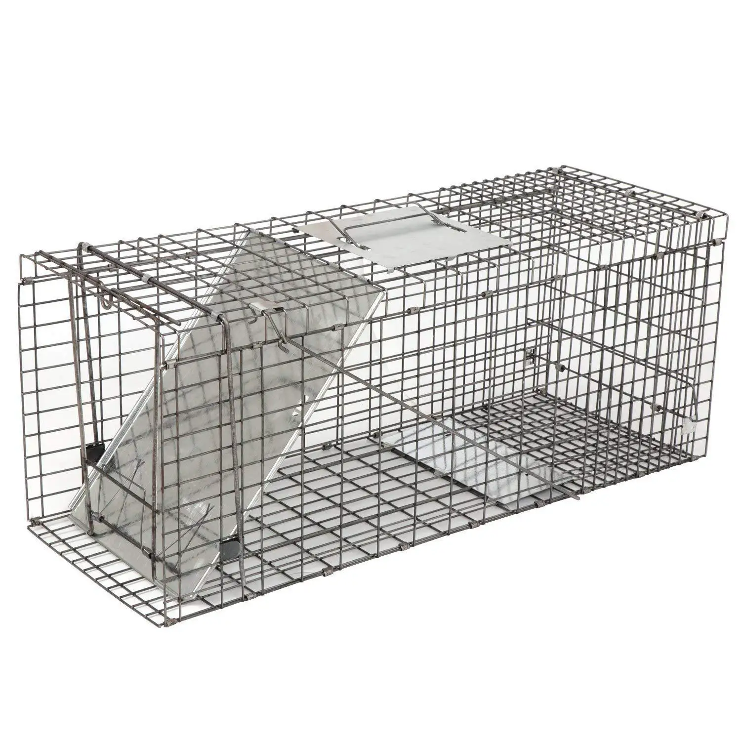 Humane Trapping Posting Large Humane Collapsible Live Animal Trap Cage Trapping Rat Possum ...