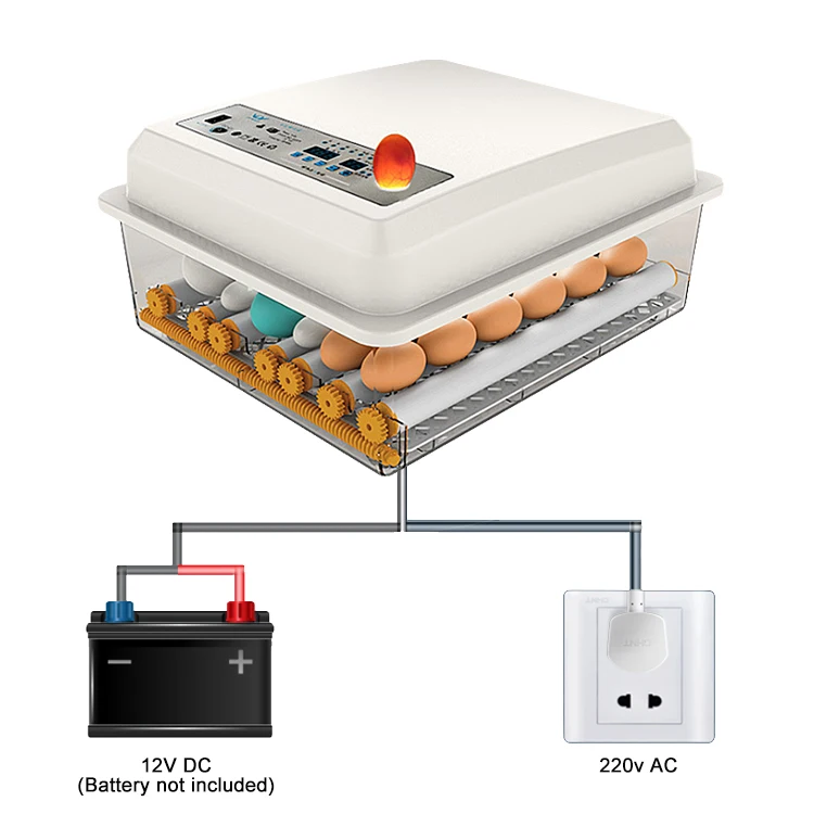 42egg incubator-12.jpg