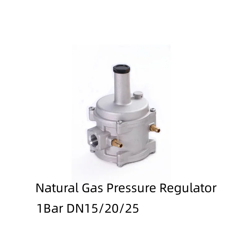 Natural Gas Pressure Regulator Adjustable Gas Valve 1bar For Natural
