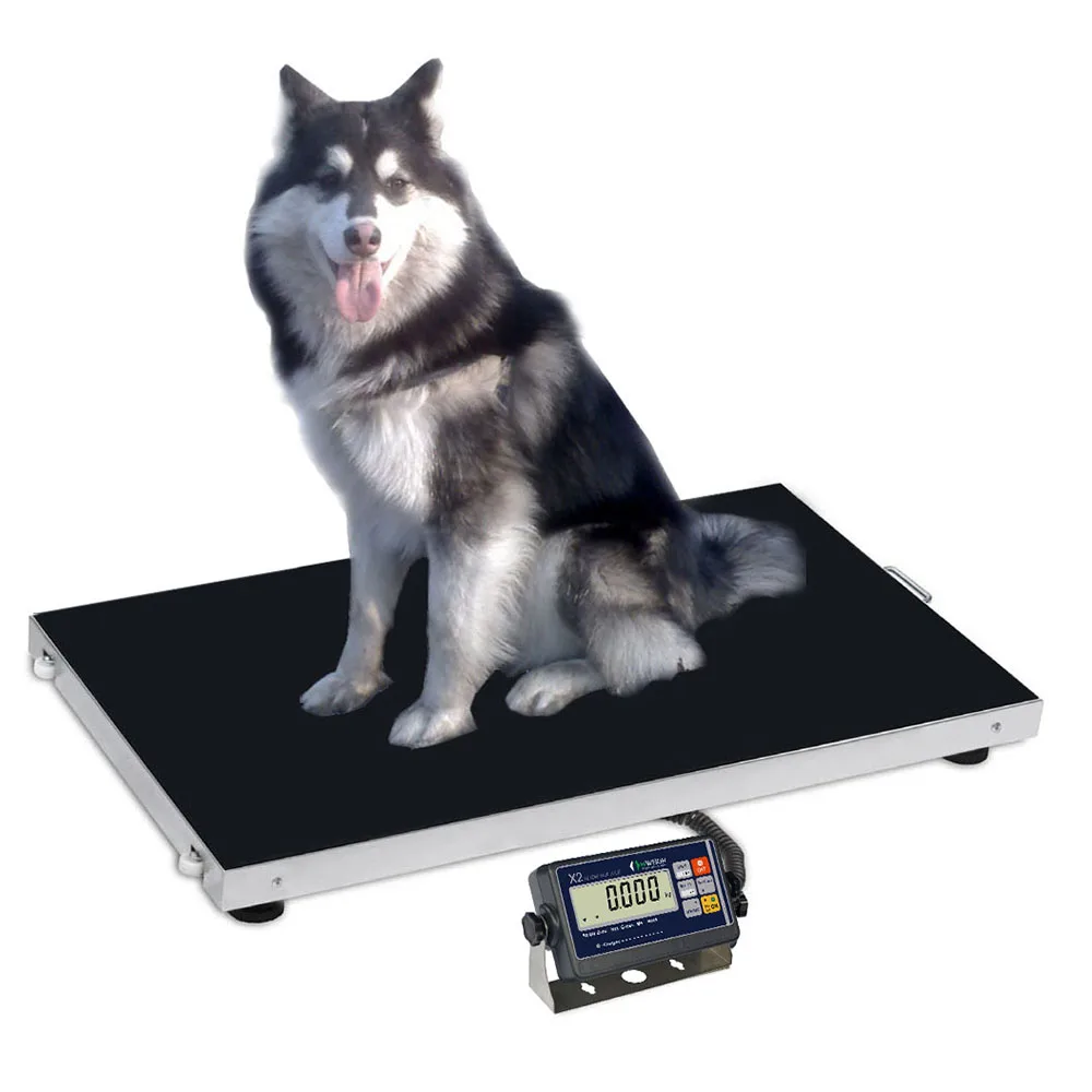 Ap Animal Pet Veterinary Scales For Cat Dog Weight Control Buy Animal