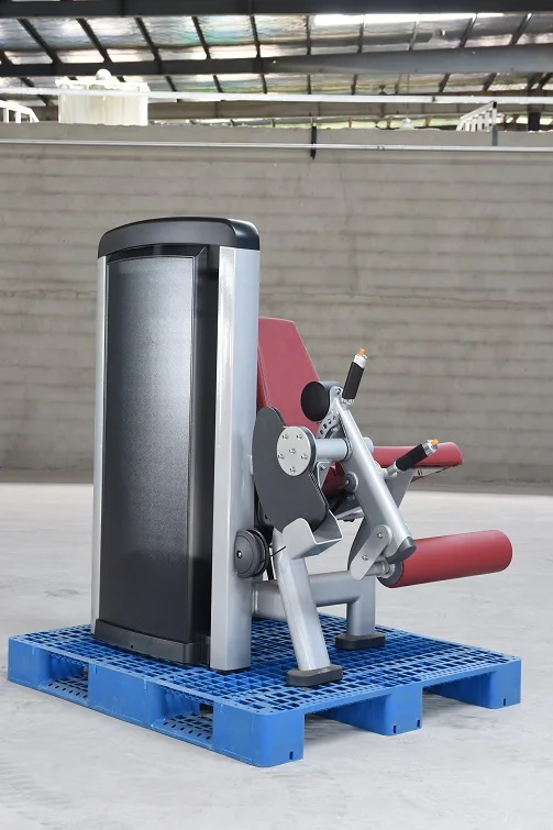 LS-916 Leg Extension (4).JPG