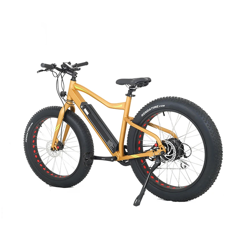 electric bike