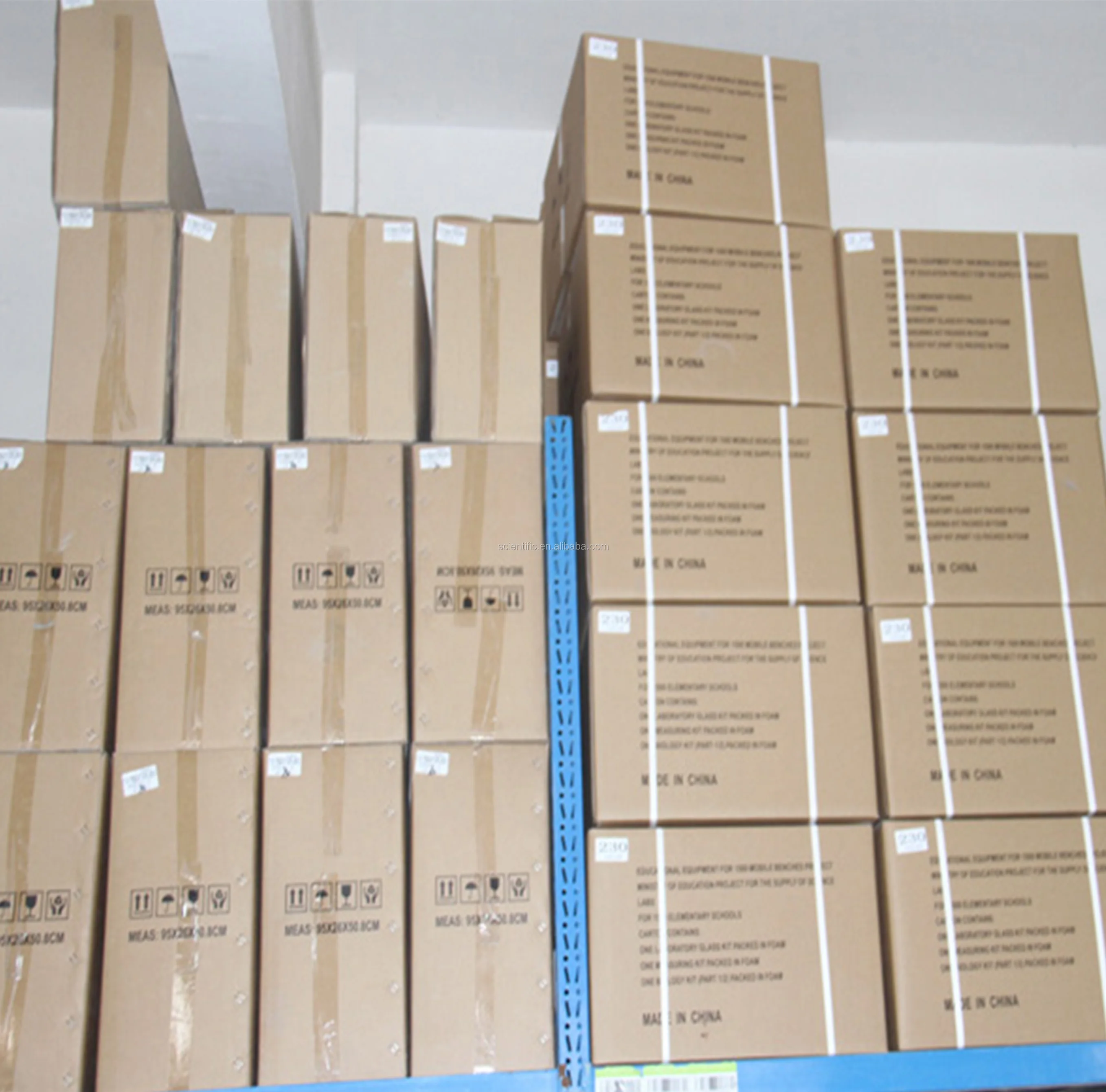 life- size plastic teaching knee joint anatomical model for