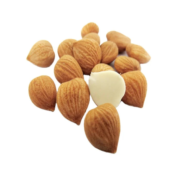 
100% Dried Apricot Kernel 