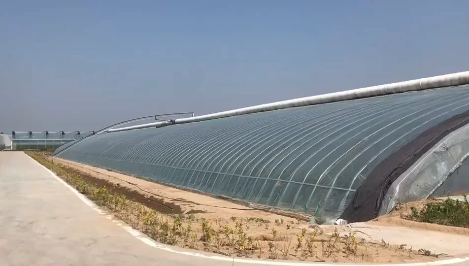 Greenhouse Agriculture Thermal Quilt/blanket Buy Green House Aquaponics Land For Sale Mongolia
