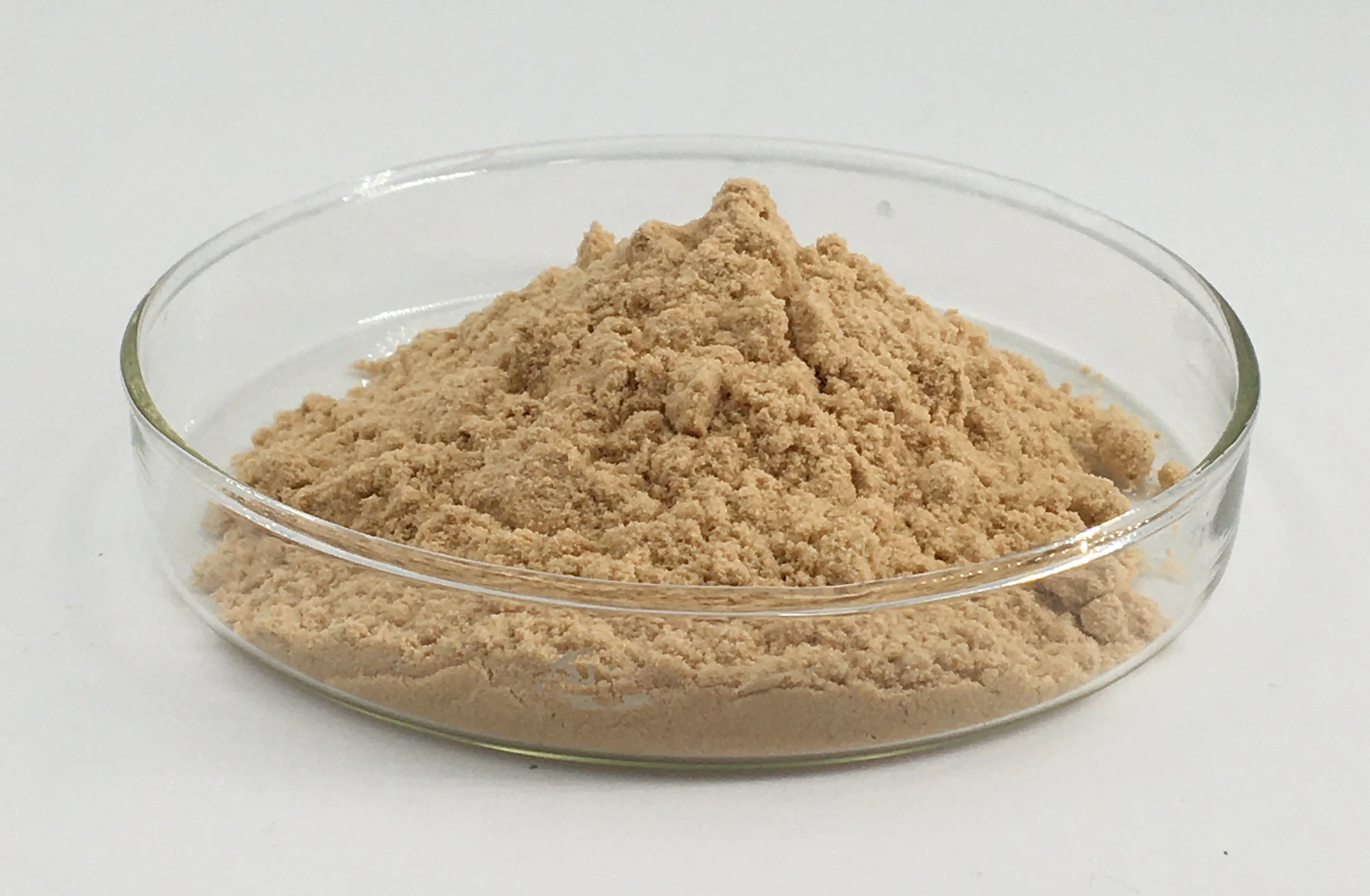 批发有机 100% 中性蛋白酶 500000u/g