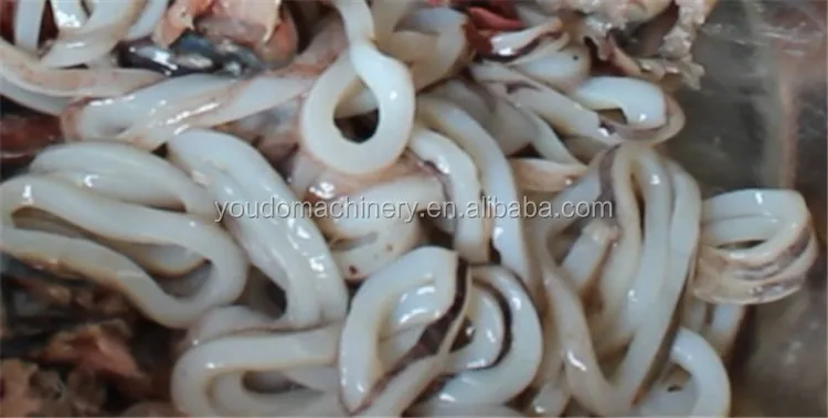 squid cutter machine (5).JPG