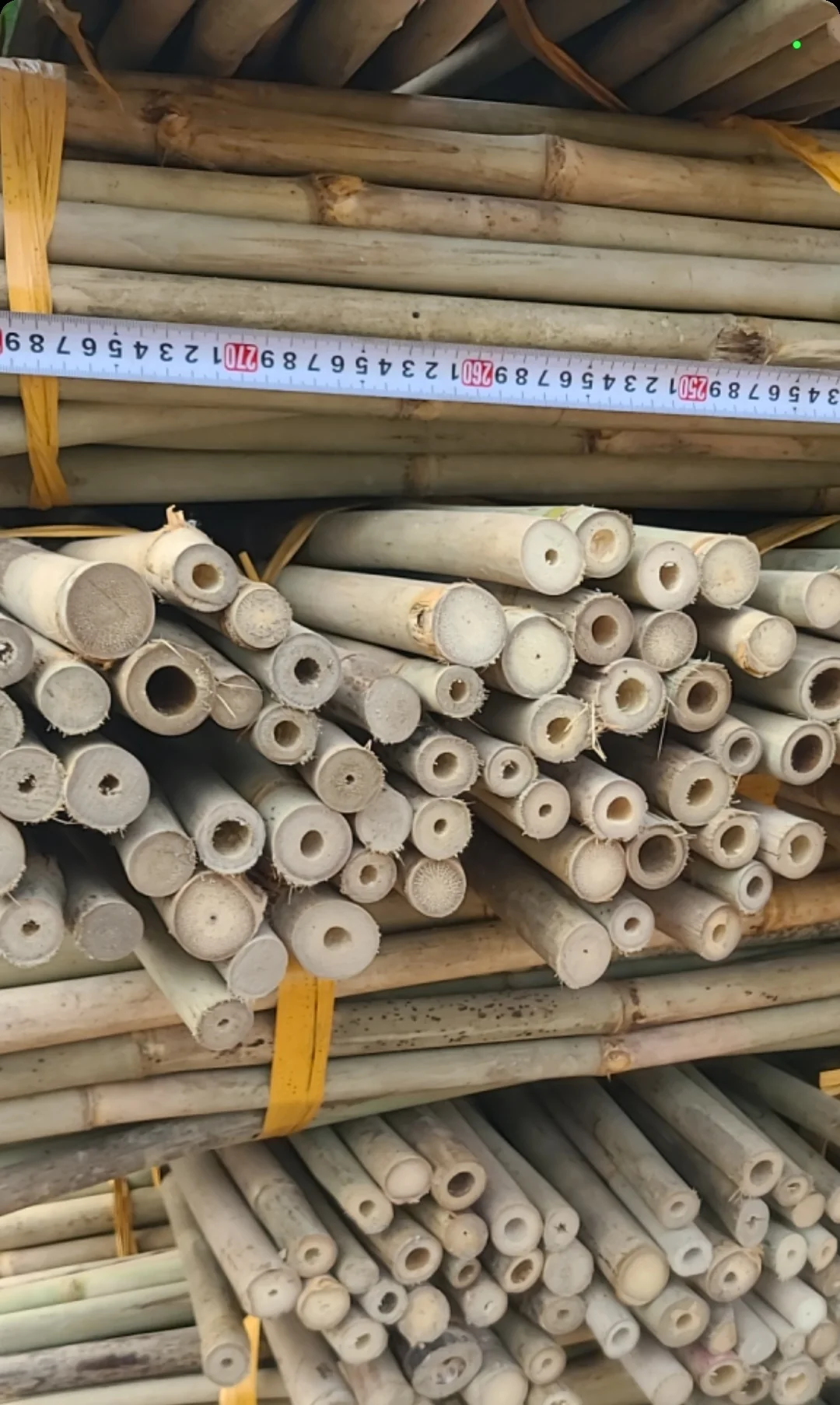 Good Price Bamboo Poles Raw Material For Planting Agriculture And ...