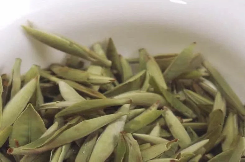 Wholesale white tea Fujian Organic Tea Pekoe - 4uTea | 4uTea.com