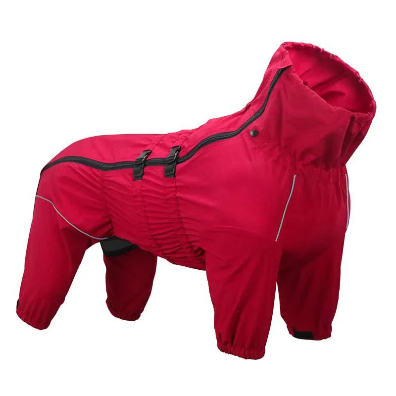 dog raincoat labrador