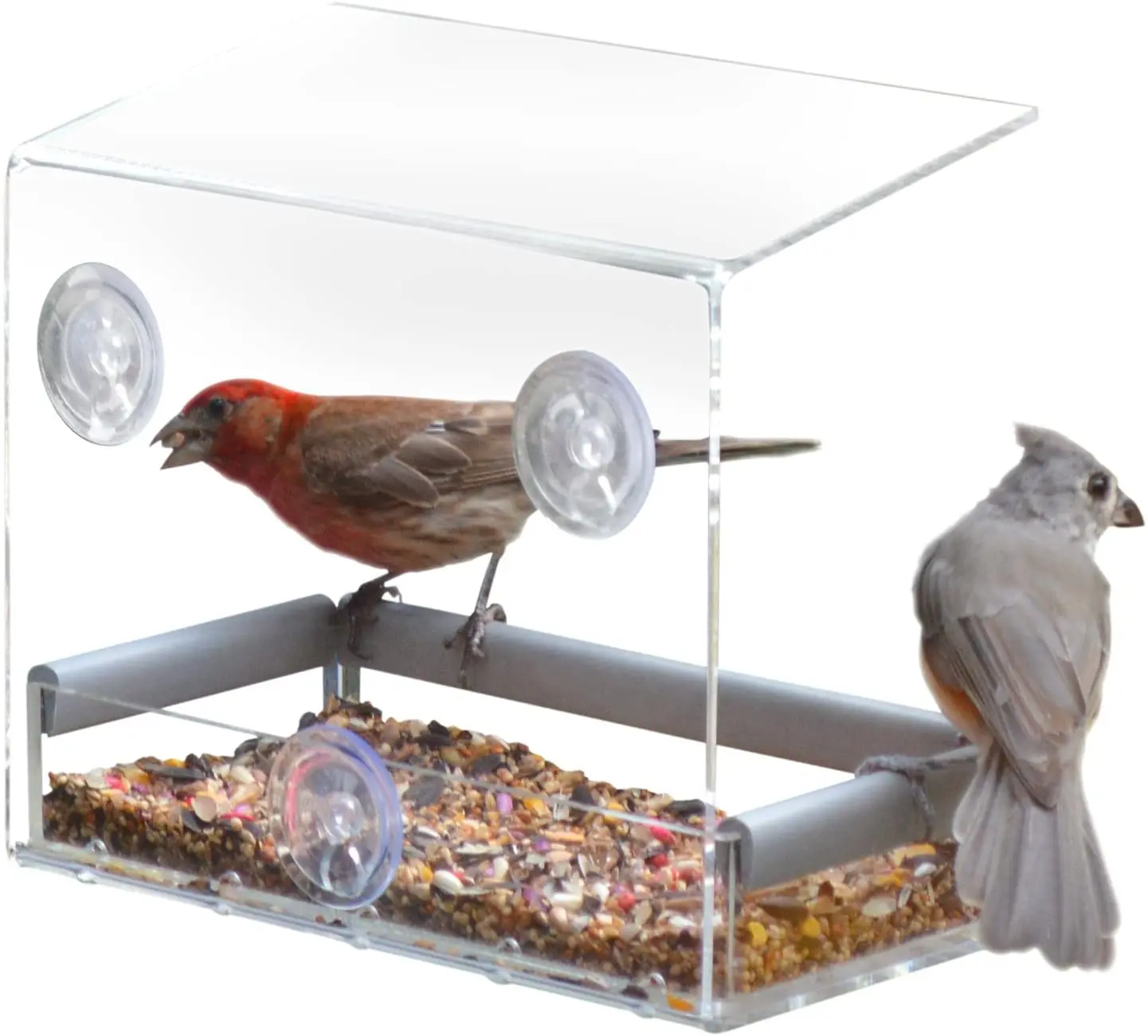 bird feeder (11).jpg