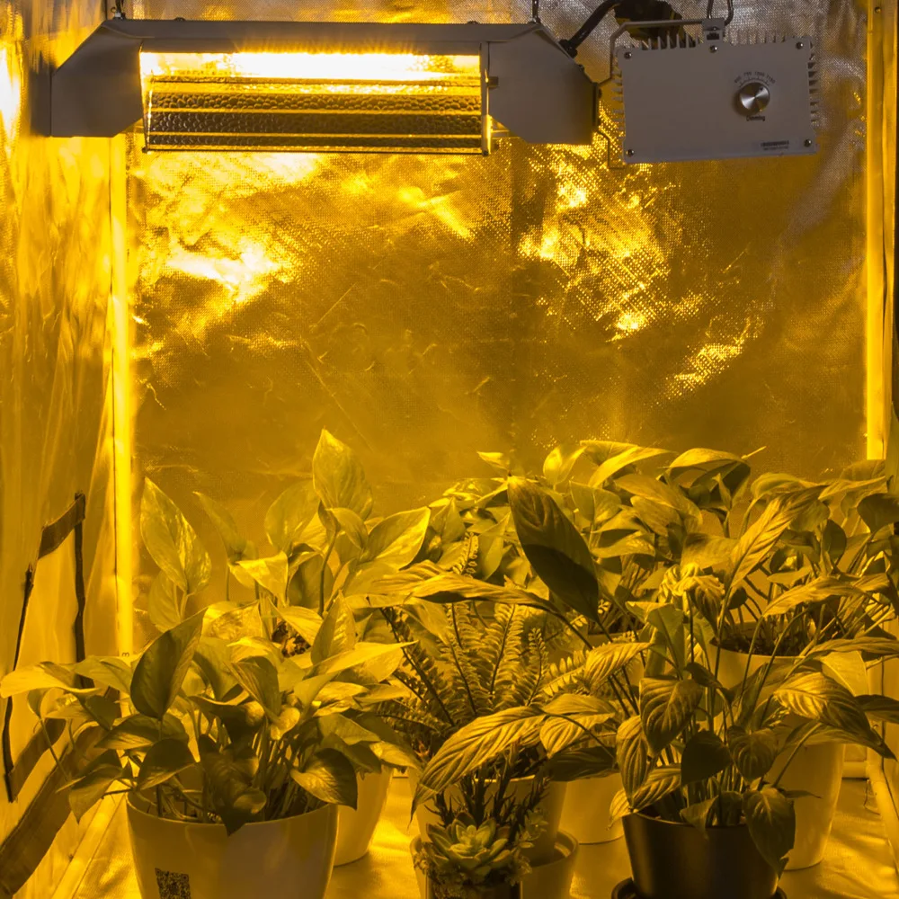 Indoor Mushroom Grow Tent Box Kit Complete Vertical Buy Grow Tent Box