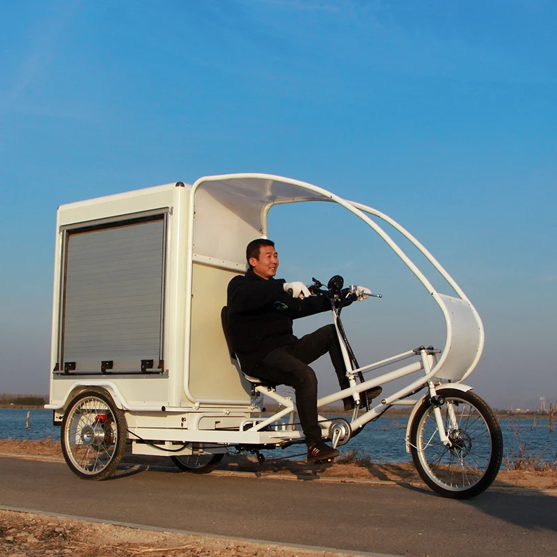 60V 1000W Popular Express Delivery Vehicle 3 Wheel Electric Tricycle for Sale