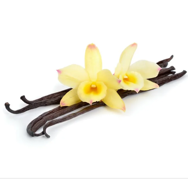 
High Quality 12-14cm Madagascar Vanilla Beans with best price 