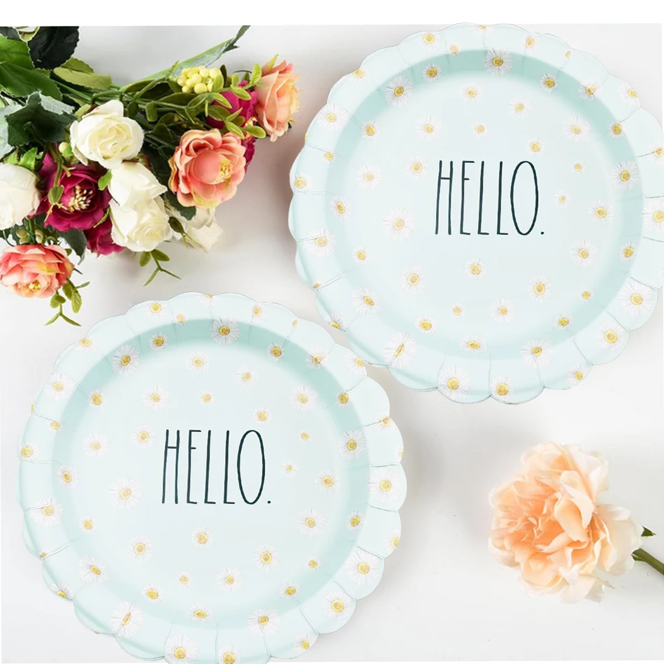 LR 10.5Inch Sky Blue Daisy Flower Printed Disposable Dinner Paper Plates 16PCS Made China Wedding Valentine's Day Party manufacture