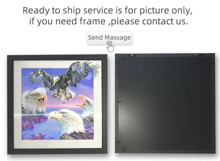 5d.jpg