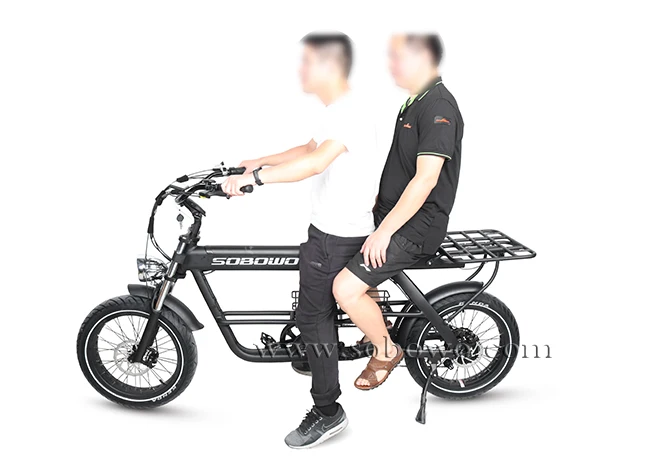 ebike 750w