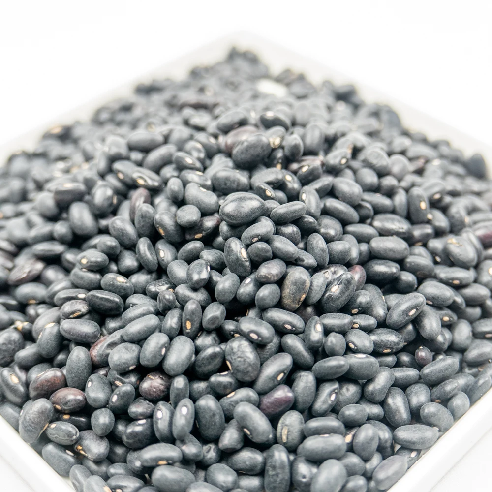 new crop premium grade black beans