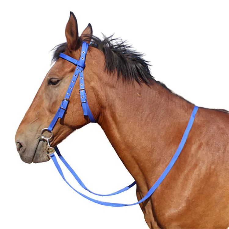 Horse Equipment Products Size Short Horse Reins Harness Equipment