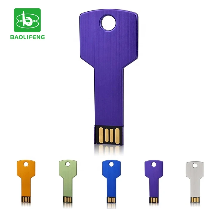 OEM Custom Metal USB Key Shaped Pen Drive 8GB 16GB 32GB Support 2.0 Key Flash Memory USB Stick - ANKUX.COM