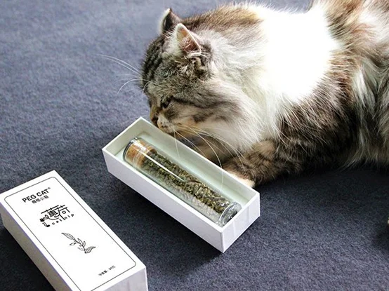 catnip box