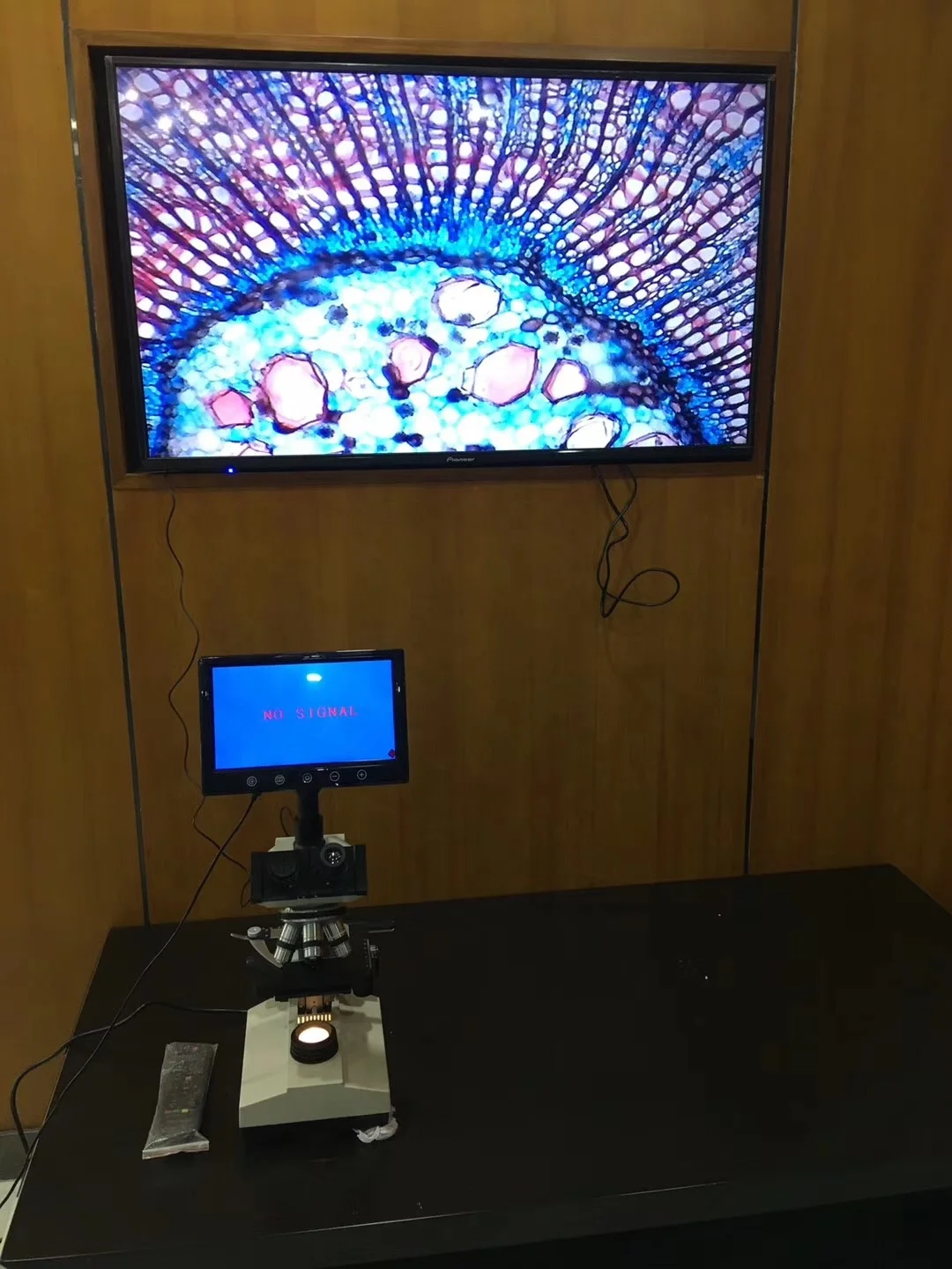 Best Seller Trinocular Biological Microscope With Screen,Connect To Pc