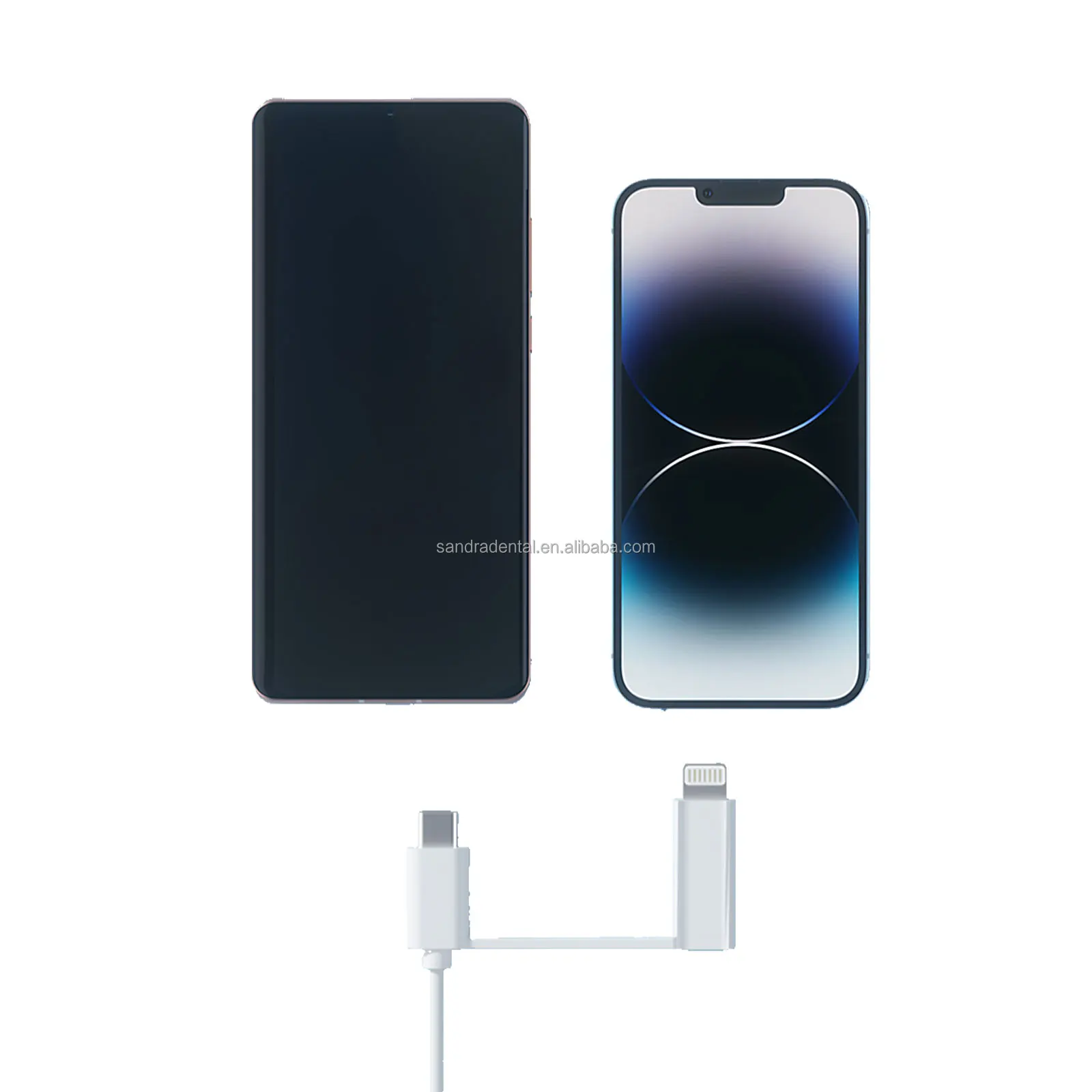 Dental Endoscope Endoscopic Intraoral Loupe Microscope Withcamera With