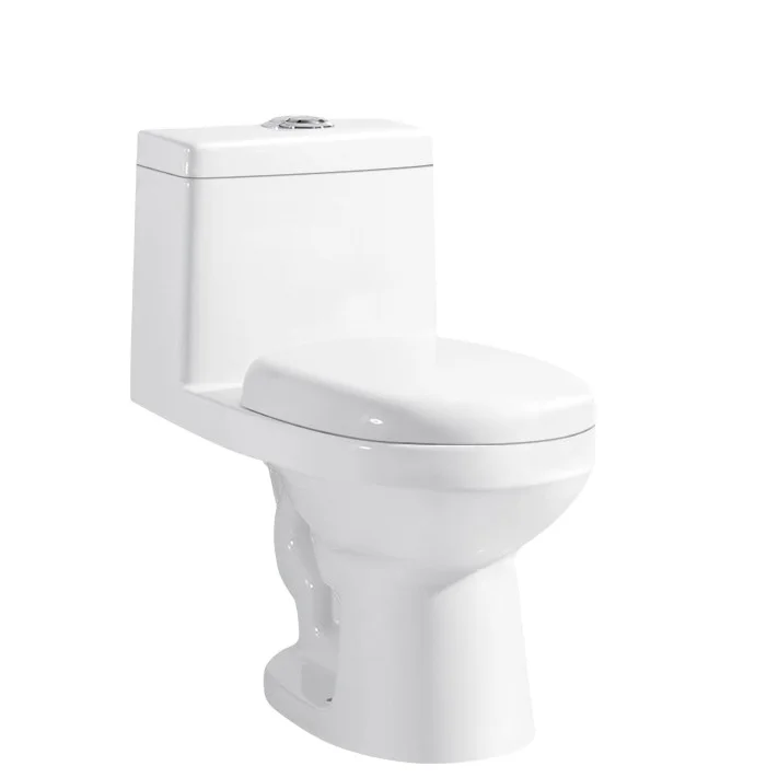 2023 Newest Lory Luxury Modern Sanitary Ware Bathroom Ceramic One Piece