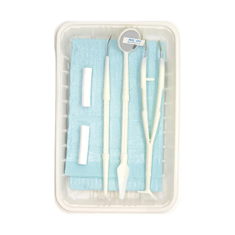 Dental Exam Kit (5 Pack) Disposable Personal Oral Care Dental