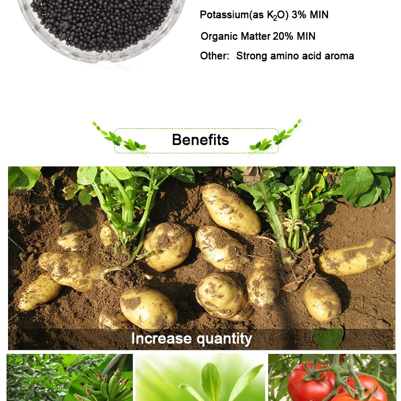 Organic Compound Fertilizer (NPK12-0-3)