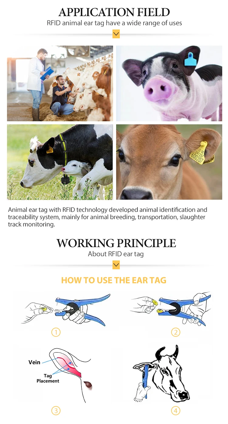 Chip Transpondedor De Oreja Para Ganado,Vacas,Ovejas,Cerdos,Hf 13,56