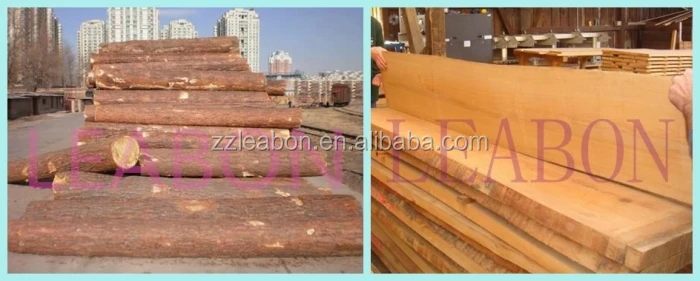 sawmill raw log1.jpg