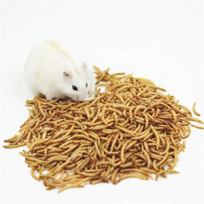 Factory Directly Supply Dried Mealworms Buy Dried Mealworm,Dried Mealworms,Mealworm Breeding