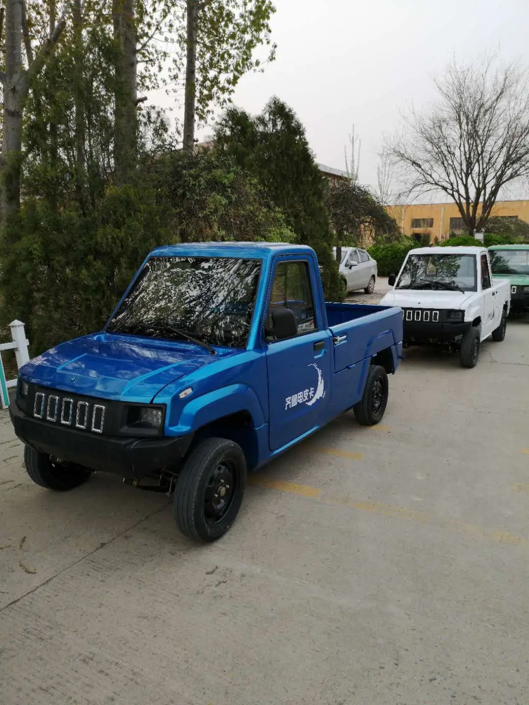 Popular  electric pickup truck hot sell with Lithium battery