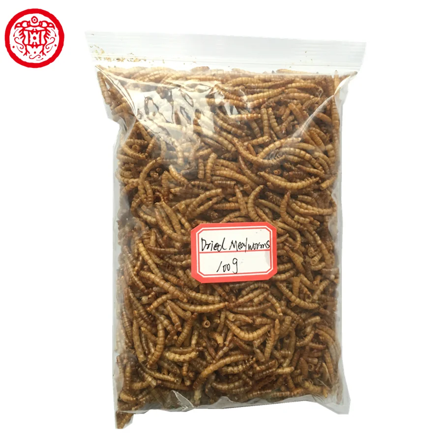 High Protein Dried Mealworms Pet Food Fish Food Animal Feed Buy High Protein Dried Mealworms