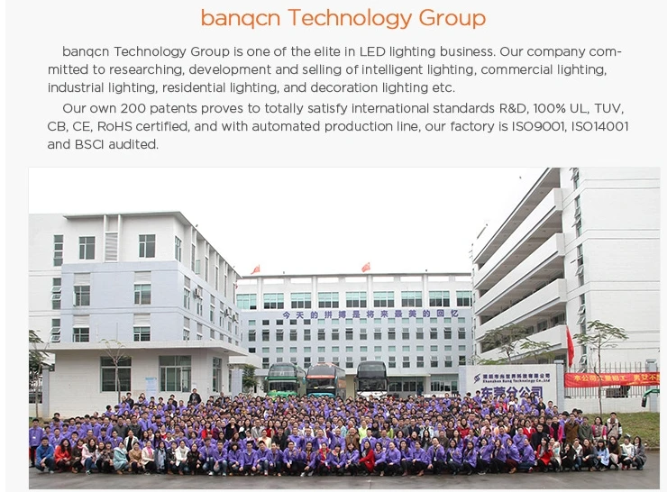 Company pofile.jpg
