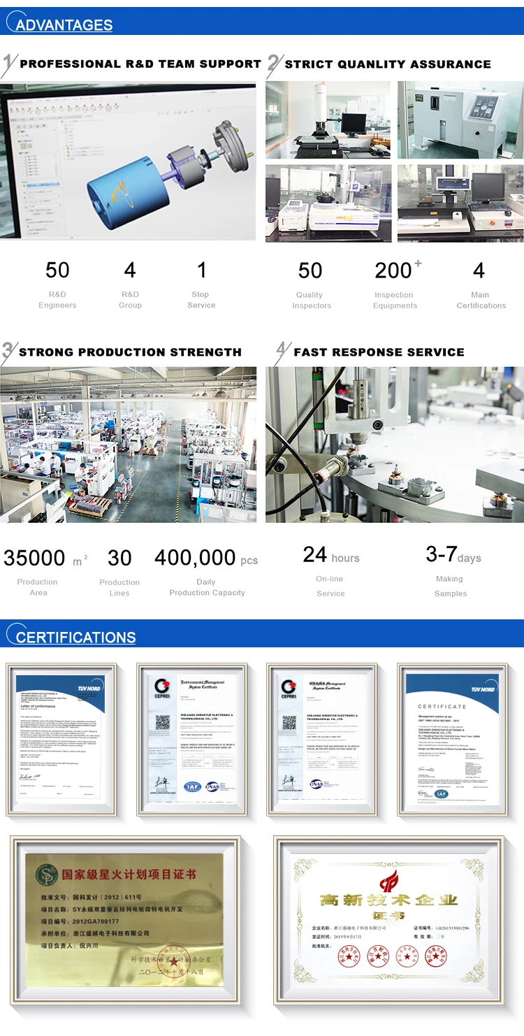 professional high torque low rpm motor 12v dc