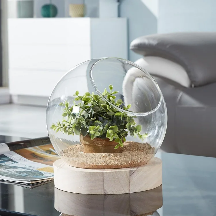Decorative Clear Glass Ball Terrarium with Wooden Base