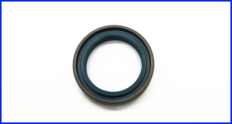 Spring Loaded and NBR Lips Combi Seal Tractot  Oil Seal