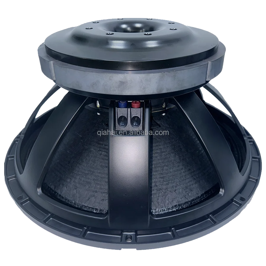 Huge 21 Inch Subwoofer - 3000W RMS for Outdoor Performance