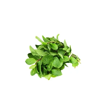 fresh mint leaves photo