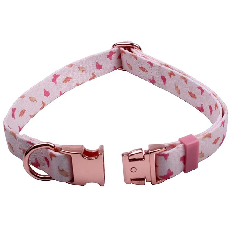 Pet Collar-48