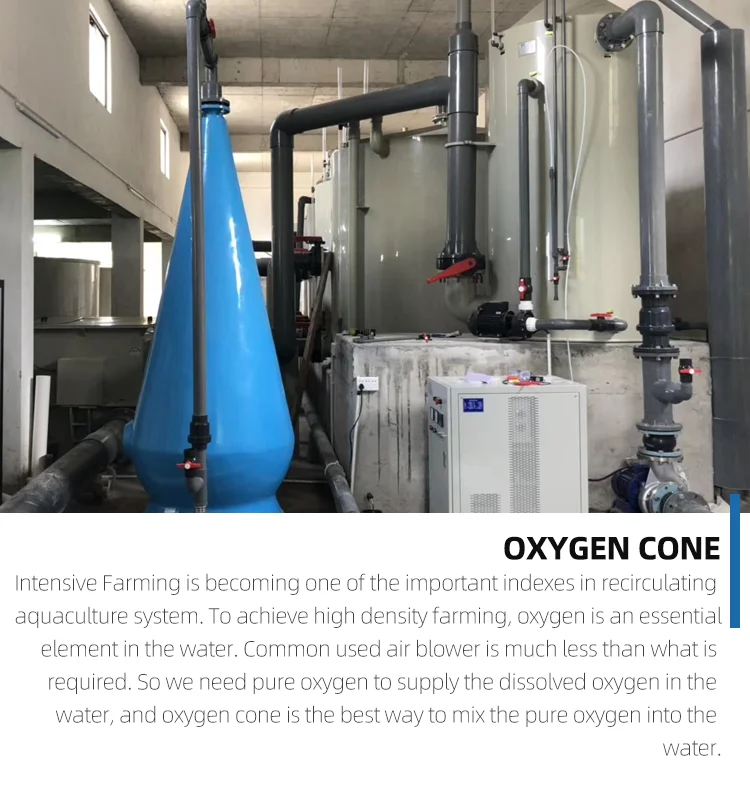 Oxygenering Fish Ras Haute Densité D'aquaculture Cône D'oxygène Équipement Pour L'eau De ...