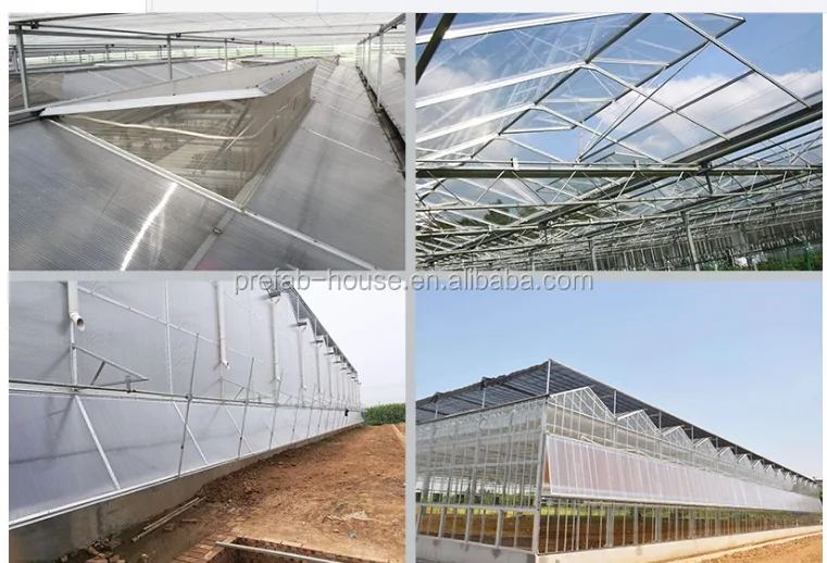 Complete Polycarbonate Sheet Agricultural Greenhouse Turnkey Project With Quick Construction