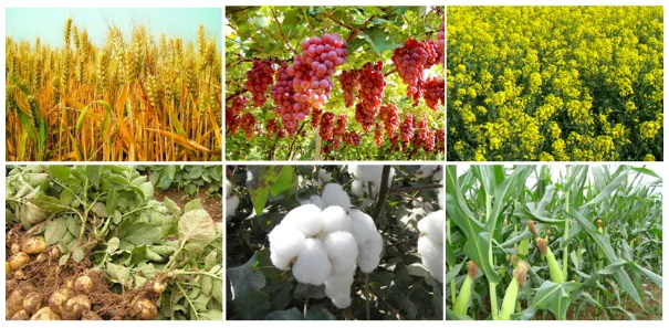 organic fertilizer Benefits.png
