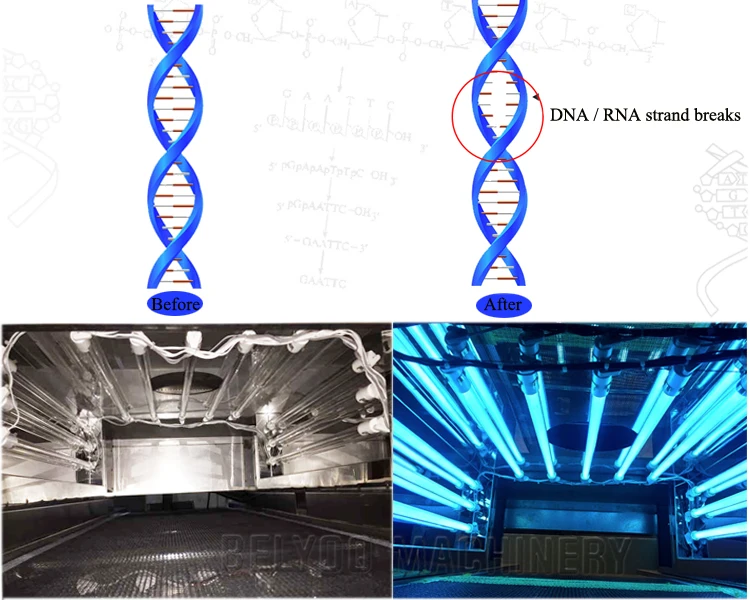 uv sterilizer.jpg