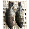 Africa Wholesale 200-300g Top Quality Frozen Tilapia Fish