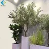 Olive Tree Wood Fiberglass Trunk Artificial Plastic Fruit Cheap Price