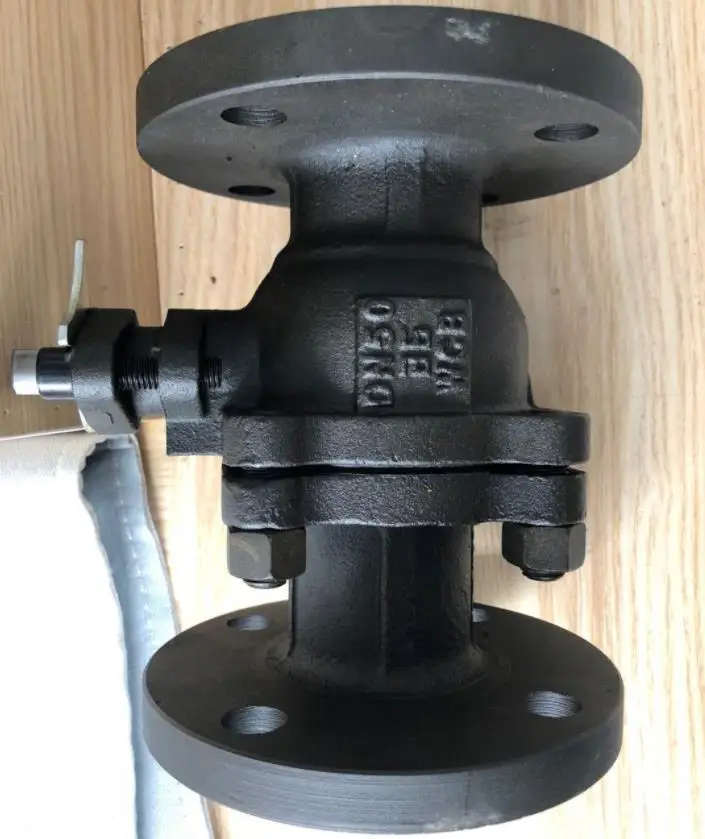 check valve (11).jpg