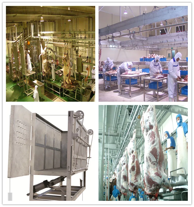 cattle slaughterhouse slaughterhouse machine